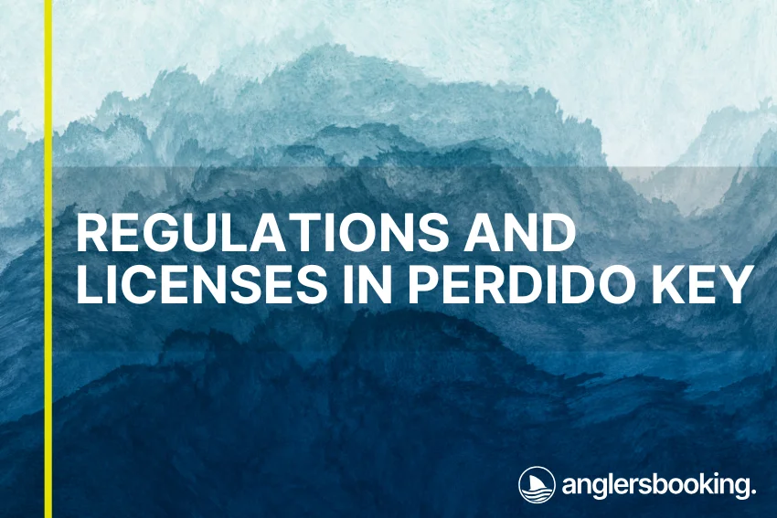An illustration of ocean waves in intricate shades of blue with a yellow line on the left side of the visual, the heading Regulations and Licenses in Perdido Key, and the Anglers Booking logo at the bottom right.