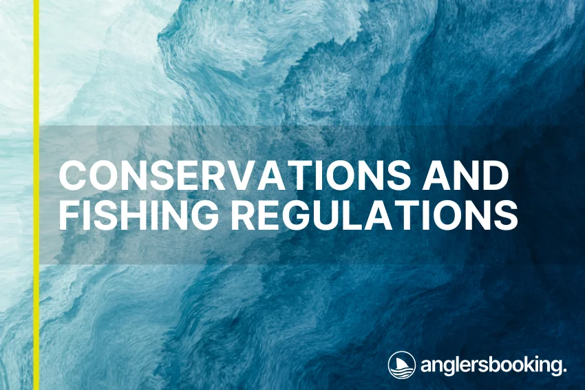 An illustration of ocean waves in intricate shades of blue, with a yellow line on the left side of the visual, the heading Conservations and Fishing Regulations, and the Anglers Booking logo at the bottom right.