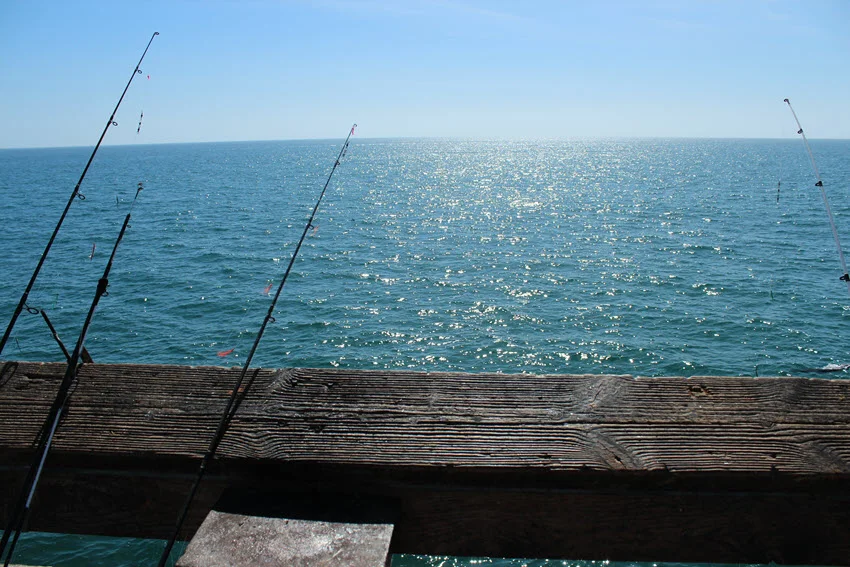 Close shot of fishing poles leaning against a railing on a beach pier, with the ocean visible in the background.
