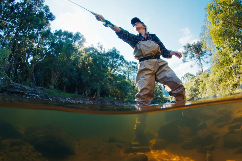 Angler wearing chest waders casts a fishing rod in a shallow river, with trees along the bank and rocks visible underwater.