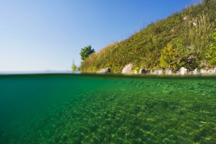 Split-level view of a lake showing a wooded shoreline above the surface and a shallow rocky bottom beneath clear green water.
