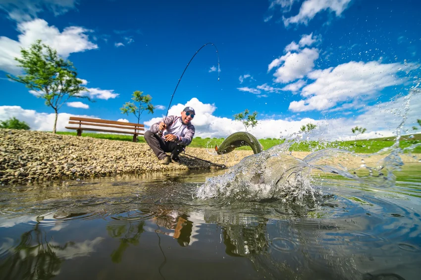 Angler fishes from a grassy shoreline with a spinning rod, while a hooked fish splashes near the surface beside the bank.