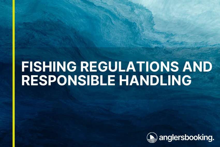 An illustration of ocean waves in intricate shades of blue, with a yellow line on the left side of the visual, the heading Fishing Regulations and Responsible Handling, and the Anglers Booking logo at the bottom right.