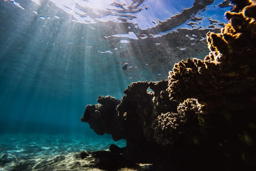 Sunlight passes through the water above a reef, illuminating coral formations, rocky shelter, and the sandy bottom beneath the surface.