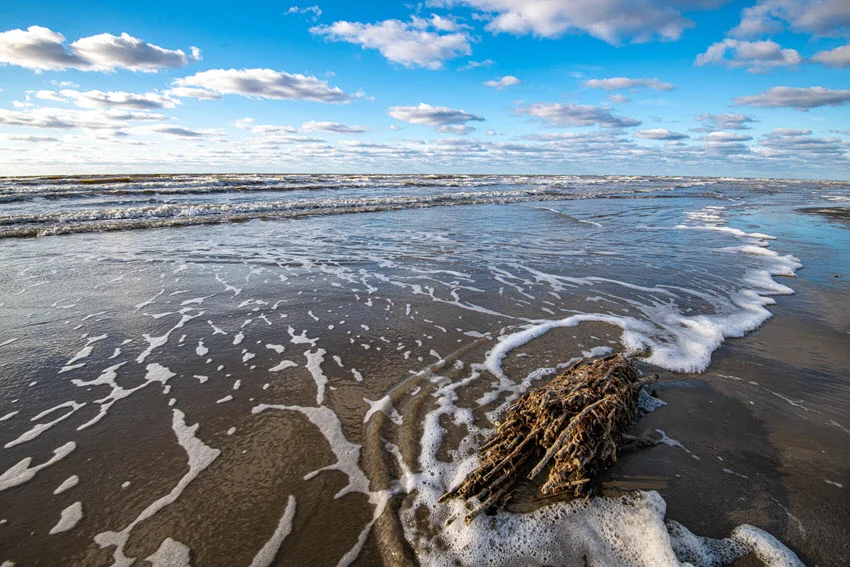 Waves wash around weathered driftwood on Freeport Beach, leaving white foam across wet sand beneath a blue sky dotted with clouds.