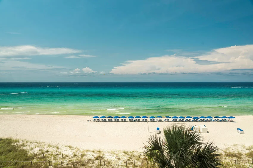 A row of blue umbrellas lines the white sand near Panama City Beach, Florida, with turquoise water beyond and dune vegetation in front.
