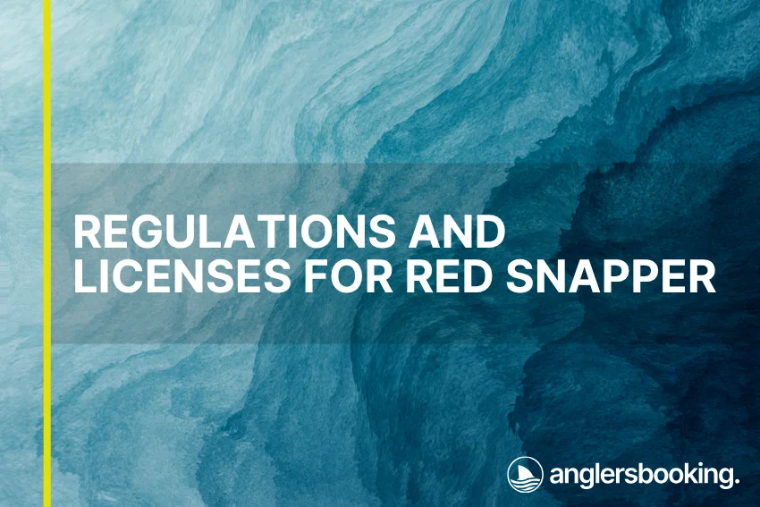 An illustration of ocean waves in intricate shades of blue, with a yellow line on the left side of the visual, the heading Regulations and Licenses for Red Snapper, and the Anglers Booking logo at the bottom right.