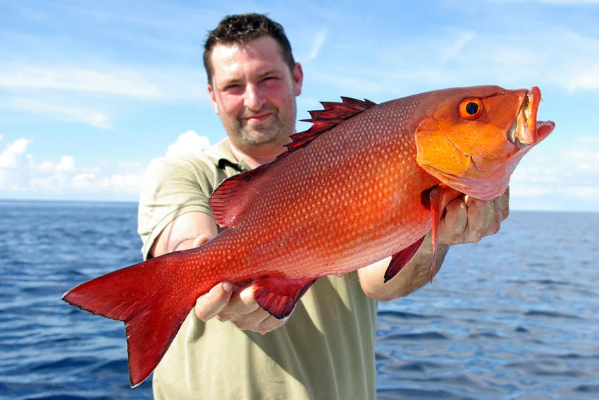 A smiling angler holds a large Snapper toward the camera, showing its reddish scales, orange eye, and dark fins against open ocean.