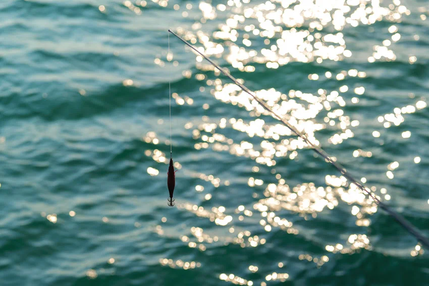 A squid jig with a crown of hooks hangs from a fishing line beside a rod, above sunlit ripples on the sea.