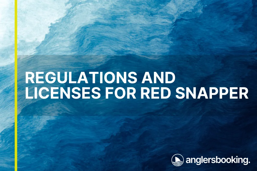 An illustration of ocean waves in intricate shades of blue, with a yellow line on the left side of the visual, the heading Regulations and Licenses for Red Snapper, and the Anglers Booking logo at the bottom right.