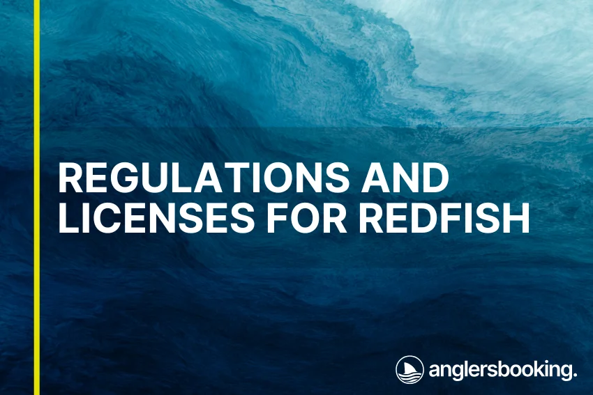 An illustration of ocean waves in intricate shades of blue, with a yellow line on the left side of the visual, the heading Regulations and Licenses for Redfish, and the Anglers Booking logo at the bottom right.