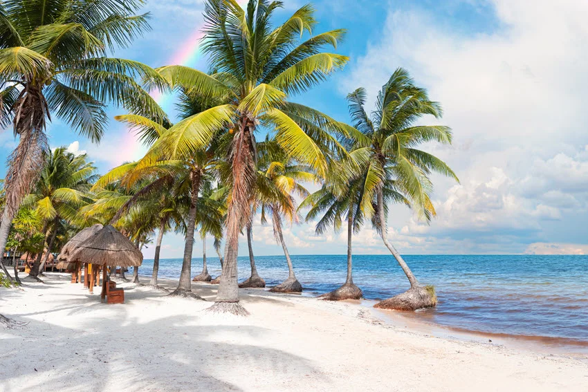 Tropical beach view near Cancun, Mexico, with leaning palms, soft sand, and clear turquoise shallows fading into deeper water.