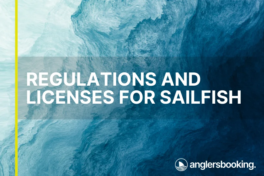 An illustration of ocean waves in intricate shades of blue, with a yellow line on the left side of the visual, the heading Regulations and Licenses for Sailfish, and the Anglers Booking logo at the bottom right.