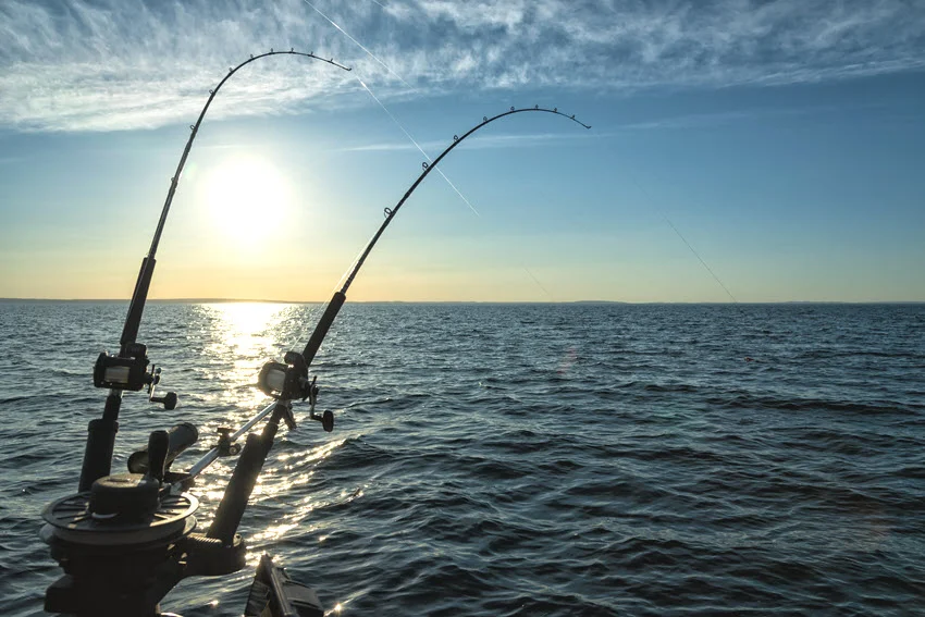 Wide shot of multiple trolling rods set in holders off the stern, with lines out and open water stretching to the horizon.