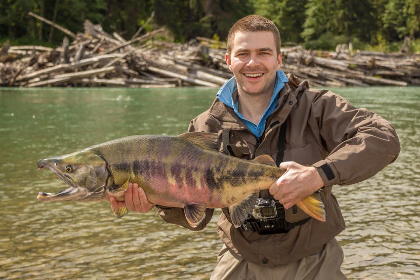 Angler holding a Chum Salmon while standing in moving river water, showing typical shape and a realistic river landing scene.