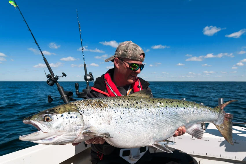 Boat angler holding a large Salmon on open water, showing a successful big fish landing moment and proper control at boatside.