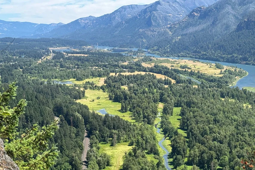 Wide view of the Columbia River valley, a well known Salmon corridor with big water, current breaks, and long migration paths.