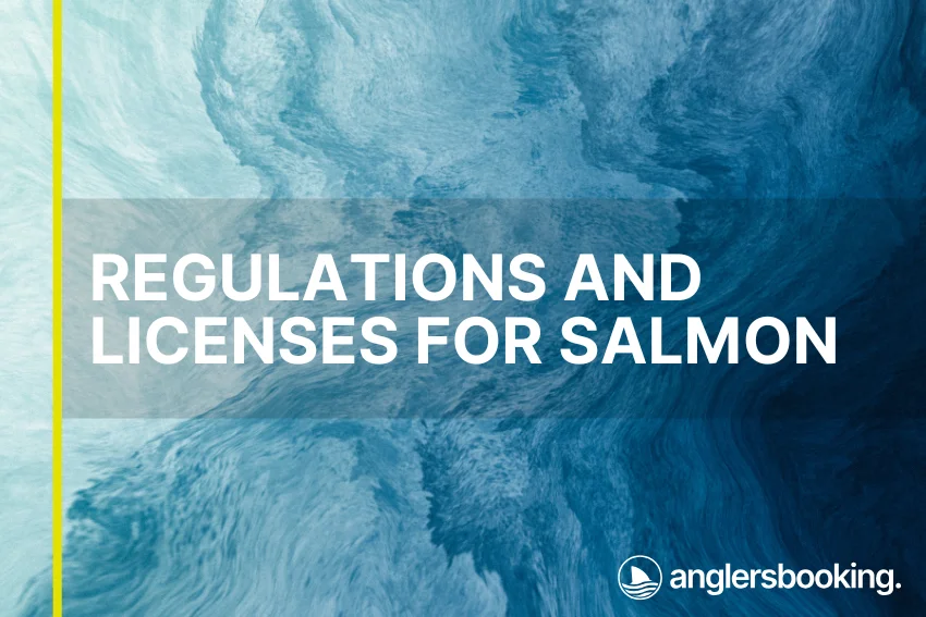 An illustration of ocean waves in intricate shades of blue, with a yellow line on the left side of the visual, the heading Regulations and Licenses for Salmon, and the Anglers Booking logo at the bottom right.