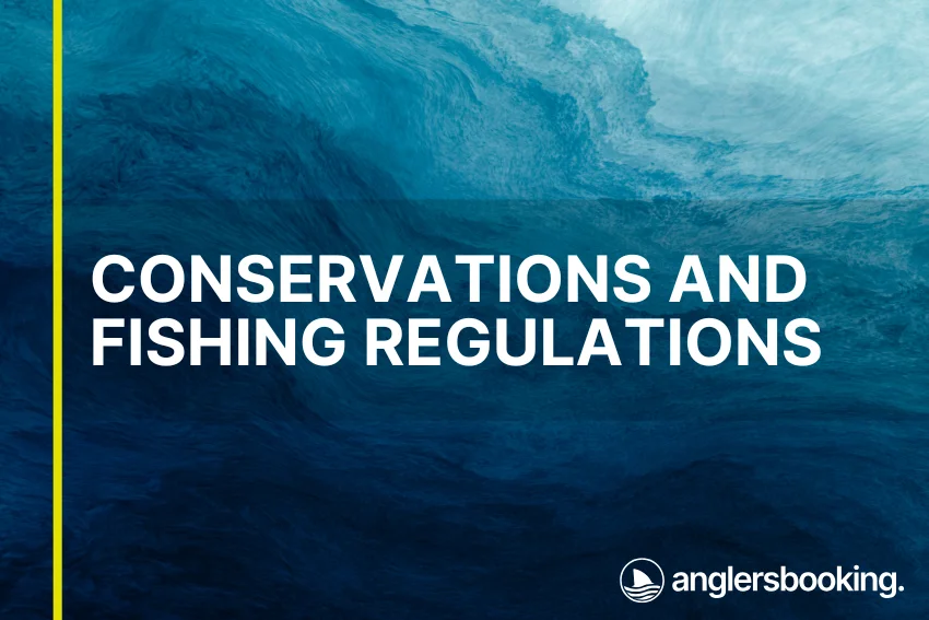 An illustration of ocean waves in intricate shades of blue, with a yellow line on the left side of the visual, the heading Conservations and Fishing Regulations, and the Anglers Booking logo at the bottom right.