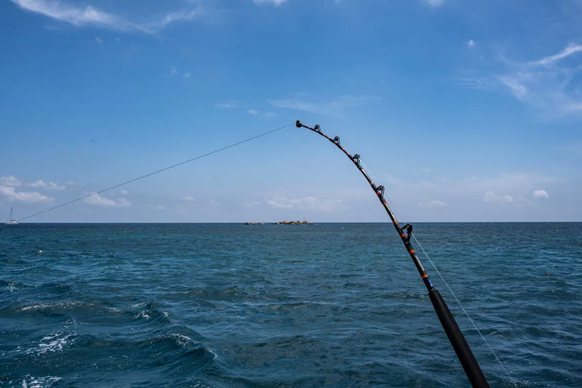 Fishing rod for trolling against the backdrop of the sea on a sunny day.