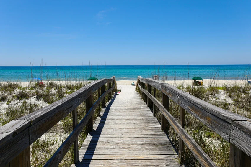 Wooden boardwalk leading toward Henderson Beach in Destin, Florida, where Gulf waters provide access to productive coastal Shark fishing.