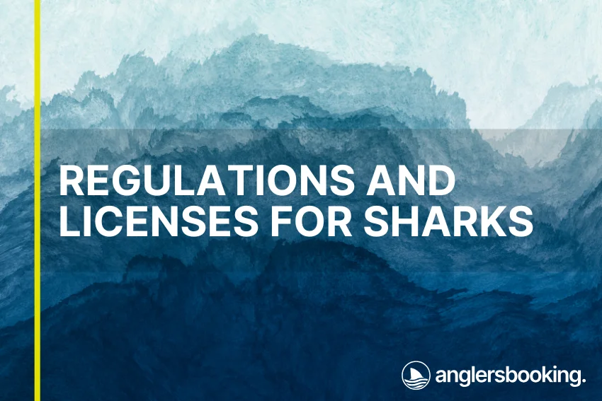 An illustration of ocean waves in intricate shades of blue, with a yellow line on the left side of the visual, the heading Regulations and Licenses for Sharks, and the Anglers Booking logo at the bottom right.