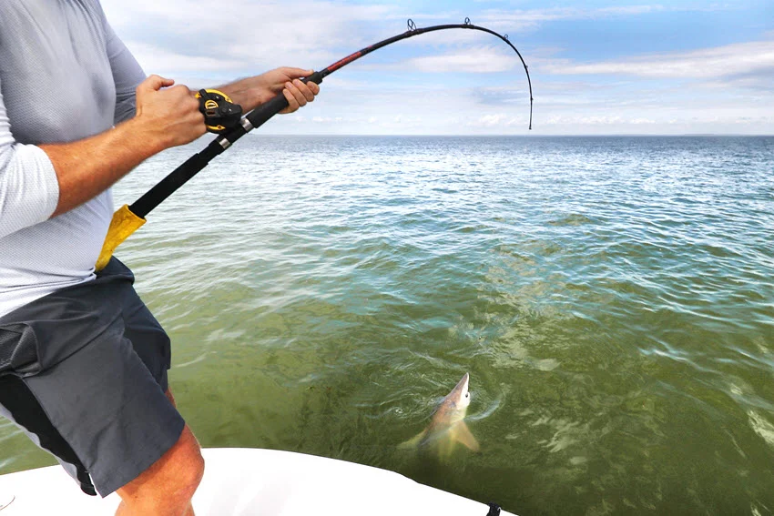 Angler fighting a Shark beside a boat in nearshore Florida water, showing the heavy tackle and shallow coastal setting used for shark fishing.
