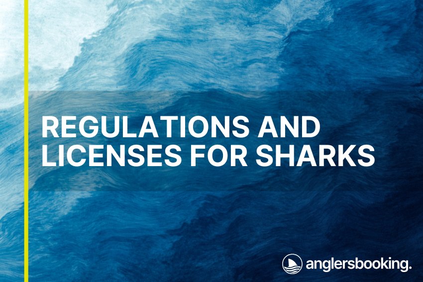 An illustration of ocean waves in intricate shades of blue, with a yellow line on the left side of the visual, the heading Regulations and Licenses for Sharks, and the Anglers Booking logo at the bottom right.