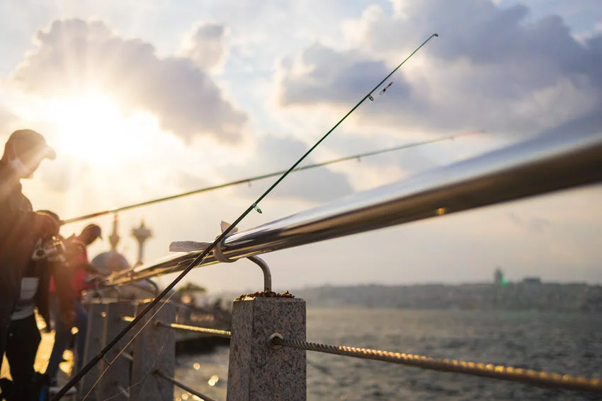 Coastal fishing setup with multiple rods placed along the water, showing a common shoreline approach for targeting Sheepshead and other inshore fish.