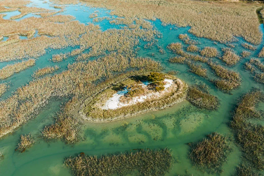 Aerial view of Murrells Inlet, South Carolina with clear turquoise water, marsh edges, and shallow coastal habitat for inshore fishing.
