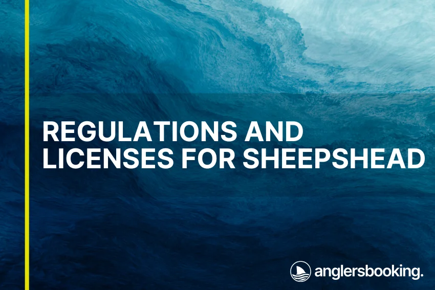 An illustration of ocean waves in intricate shades of blue, with a yellow line on the left side of the visual, the heading Regulations and Licenses for Sheepshead, and the Anglers Booking logo at the bottom right.