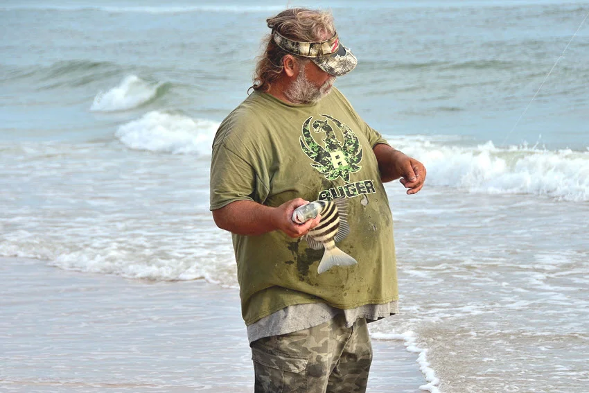 Angler holding a small Sheepshead along the shoreline, showing its striped body and common surfside habitat near coastal structure.