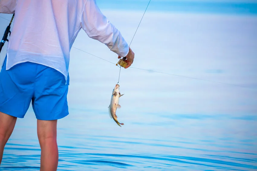 Close shot from behind of an angler carefully removing a fish from the hook, with a calm blue ocean as the background.