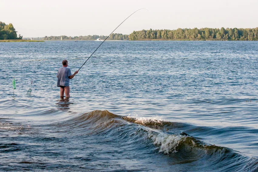An angler stands in the ocean bay shallow, performing a drop shot fishing.