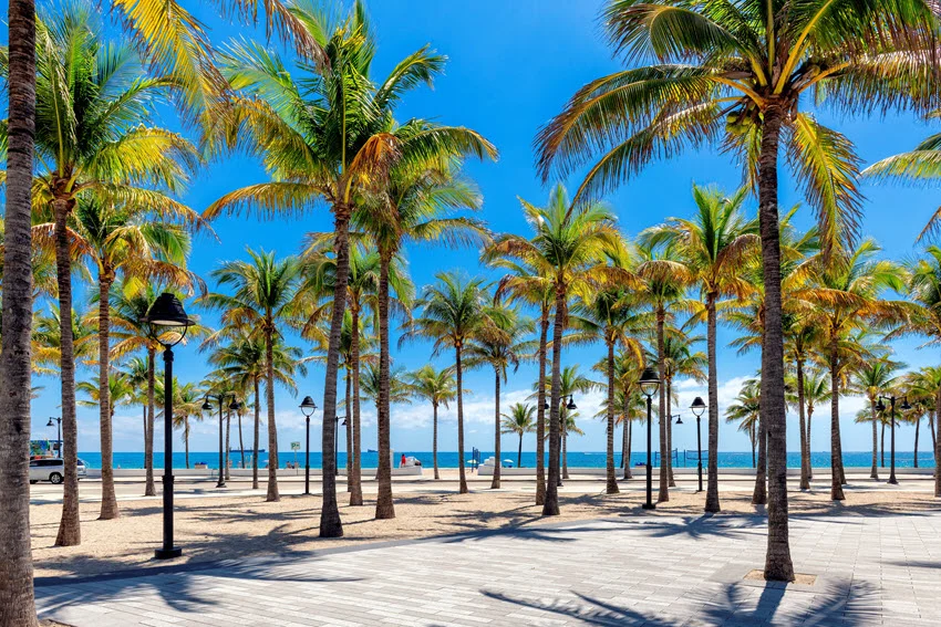 Beautiful palm trees at the tropical Las Olas Oceanside Park on Fort Lauderdale Beach in Florida, with vibrant greenery, sandy pathways, and the ocean visible in the background.