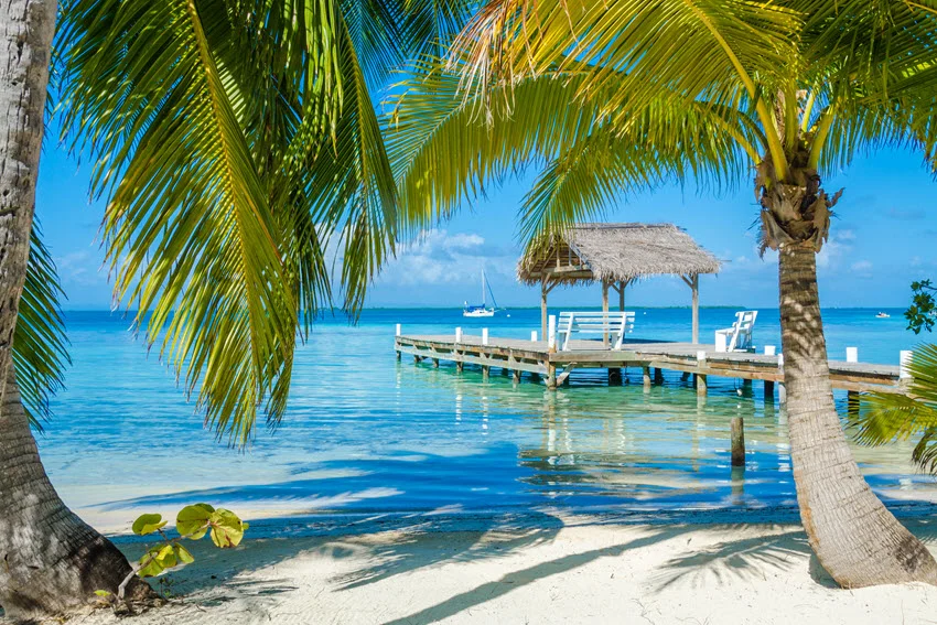 Belize-style tropical lagoon view with a dock, palm shade, and clear shallows, highlighting calm water, visibility, and shoreline edges.