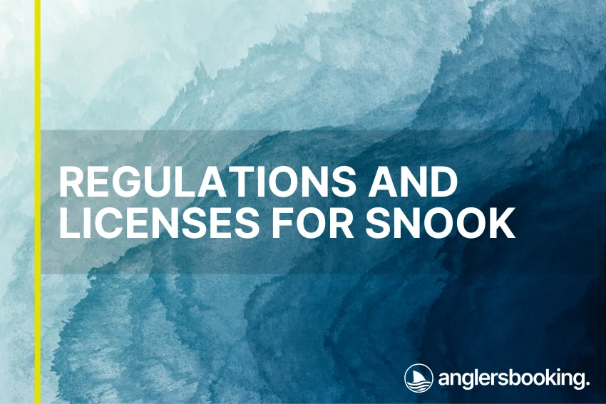 An illustration of ocean waves in intricate shades of blue, with a yellow line on the left side of the visual, the heading Regulations and Licenses for Snook, and the Anglers Booking logo at the bottom right.