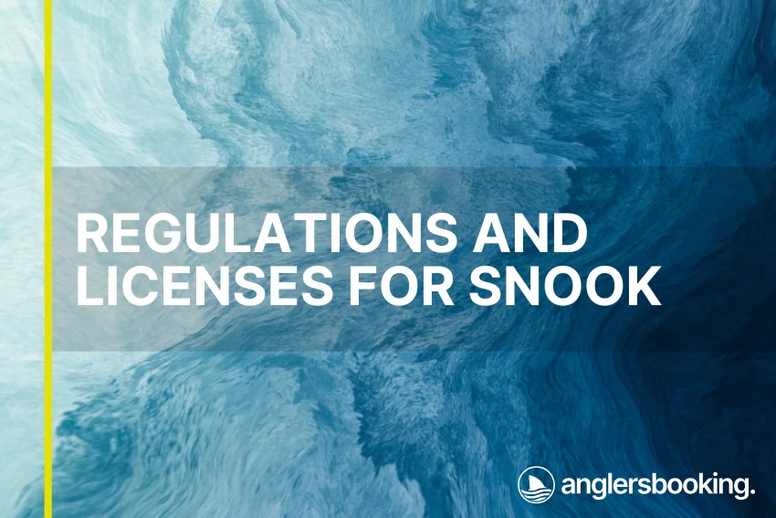 An illustration of ocean waves in intricate shades of blue, with a yellow line on the left side of the visual, the heading Regulations and Licenses for Snook, and the Anglers Booking logo at the bottom right.