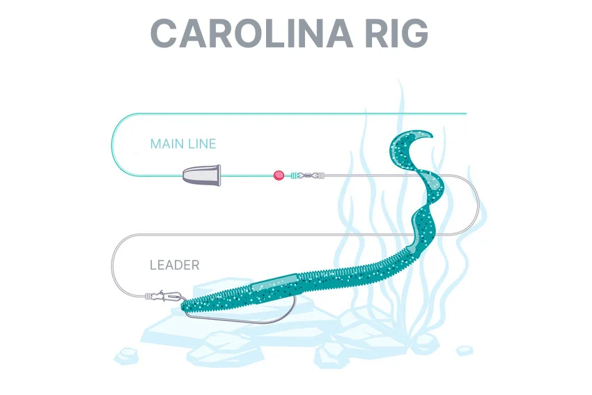 Carolina rig fishing tackle illustration showing how to set it up for targeting Bass, Pike, Perch, Zander, and other predatory fish.