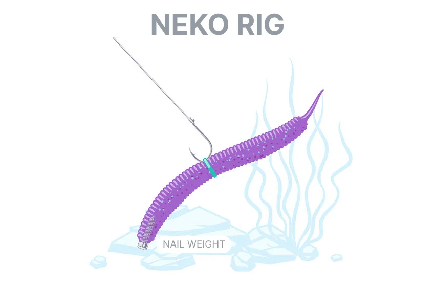 Neko rig fishing tackle illustration, a Japanese finesse setup designed ideally for catching Bass but also effective for other predatory fish.