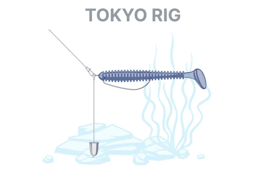 Tokyo rig fishing tackle illustration effective for a range of predatory fish species.