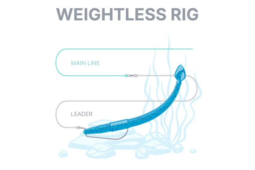 Weightless rig fishing tackle illustration showing the proper setup for targeting predatory fish.