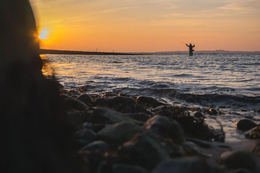 Fly fishing angler casting a long line at sunset from the shoreline, with gentle surf and golden light across the water.