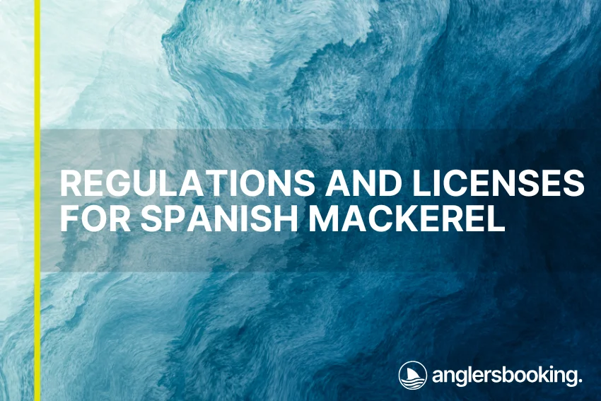 An illustration of ocean waves in intricate shades of blue, with a yellow line on the left side of the visual, the heading Regulations and Licenses for Spanish Mackerel, and the Anglers Booking logo at the bottom right.
