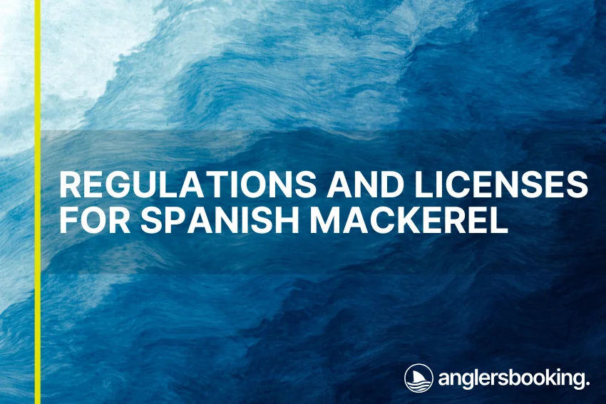 An illustration of ocean waves in intricate shades of blue, with a yellow line on the left side of the visual, the heading Regulations and Licenses for Spanish Mackerel, and the Anglers Booking logo at the bottom right.