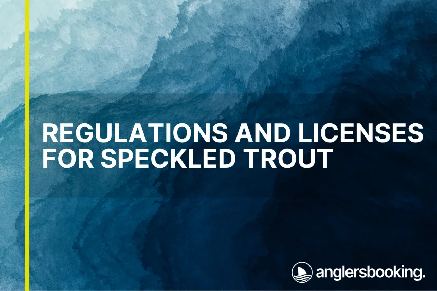 An illustration of ocean waves in intricate shades of blue, with a yellow line on the left side of the visual, the heading Regulations and Licenses for Speckled Trout, and the Anglers Booking logo at the bottom right.