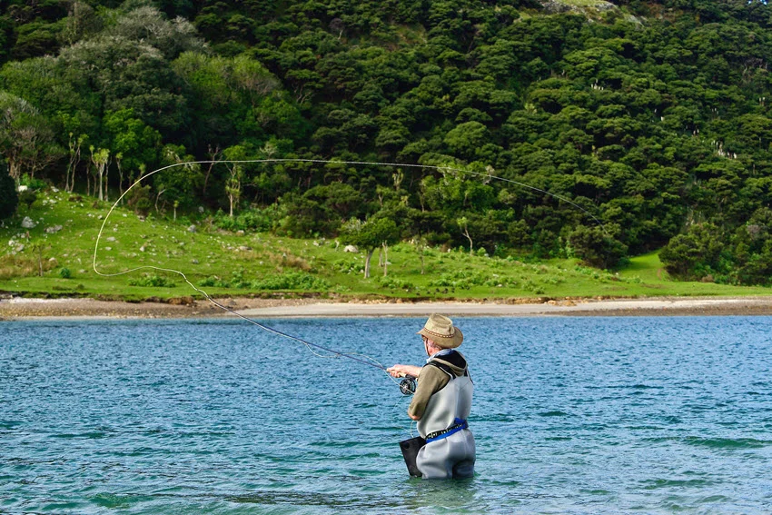 Angler wearing waders casts a fly line across saltwater, with a narrow shoreline and densely wooded hillside in the background.