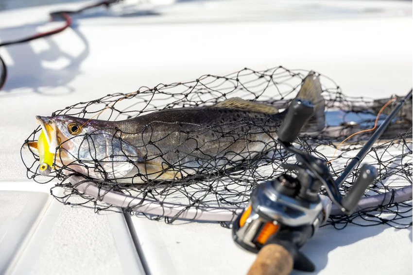 Speckled Trout resting in a landing net on a boat deck, with a yellow lure at its mouth and a baitcasting setup alongside.