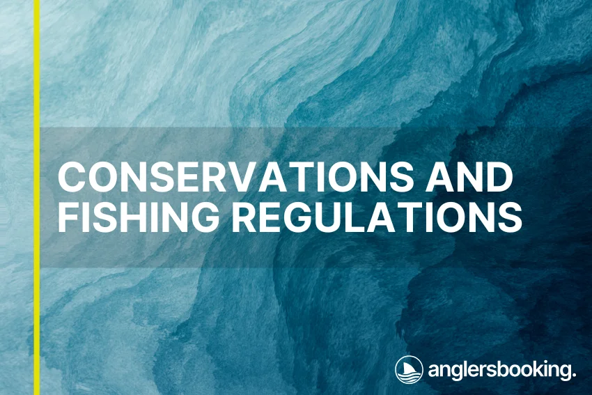 An illustration of ocean waves in intricate shades of blue, with a yellow line on the left side of the visual, the heading Conservations and Fishing Regulations, and the Anglers Booking logo at the bottom right.