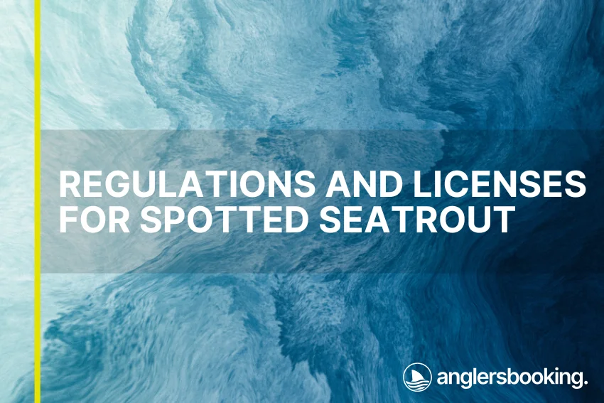An illustration of ocean waves in intricate shades of blue, with a yellow line on the left side of the visual, the heading Regulations and Licenses for Spotted Seatrout, and the Anglers Booking logo at the bottom right.
